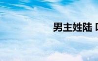 男主姓陆 叫女主晚晚