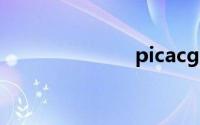 picacg下载ios