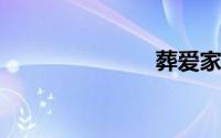 葬爱家族名字