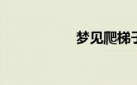 梦见爬梯子到最高处