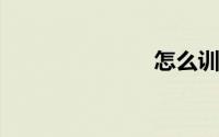 怎么训练金毛