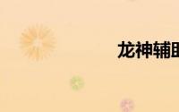 龙神辅助免费版