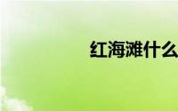红海滩什么时候去最好