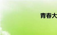青春大概歌词