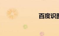 百度识图测颜值