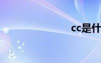 cc是什么意思