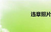 违章照片如何查看