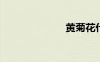 黄菊花代表什么