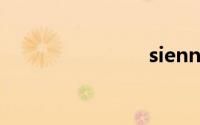 sienna赛娜