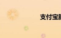 支付宝服务大厅