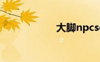 大脚npcscan怎么用