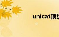 unicat顶级越野房车