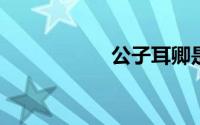 公子耳卿是什么意思