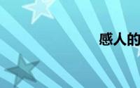 感人的电视剧