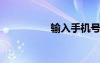 输入手机号码查询话费