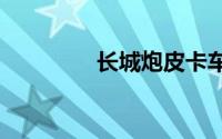 长城炮皮卡车价格2020款