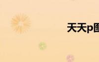 天天p图电脑版