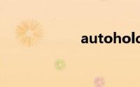 autohold什么意思
