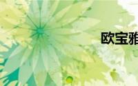 欧宝雅特gtc