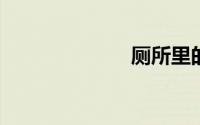 厕所里的小飞虫