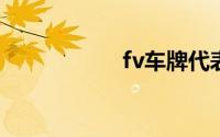 fv车牌代表什么意思