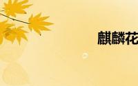 麒麟花怎么养