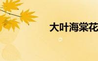 大叶海棠花的养殖方法