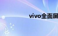 vivo全面屏手机返回键