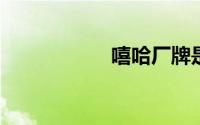嘻哈厂牌是什么意思
