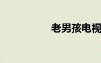 老男孩电视剧剧情介绍