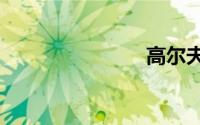高尔夫61.4t