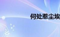 何处惹尘埃的爱情意思