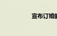 宣布订婚的心情说说