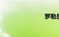 罗勒是什么