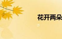 花开两朵各表一枝