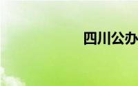 四川公办专科大学