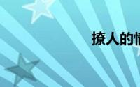撩人的情话套路