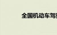 全国机动车驾驶人数量超5亿