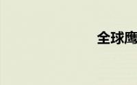 全球鹰gx718
