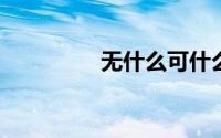 无什么可什么的四字词语