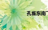 孔雀东南飞什么意思