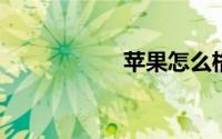 苹果怎么格式化手机
