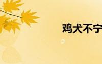 鸡犬不宁打一生肖