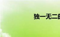 独一无二的快手网名