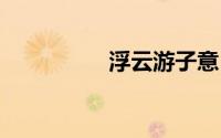 浮云游子意 落日故人情
