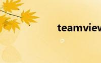 teamviewer怎么用