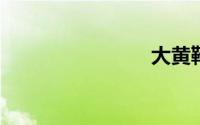 大黄靴搭配
