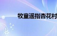 牧童遥指杏花村的杏花村是哪里