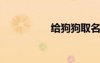 给狗狗取名字洋气点的