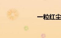 一粒红尘插曲微光